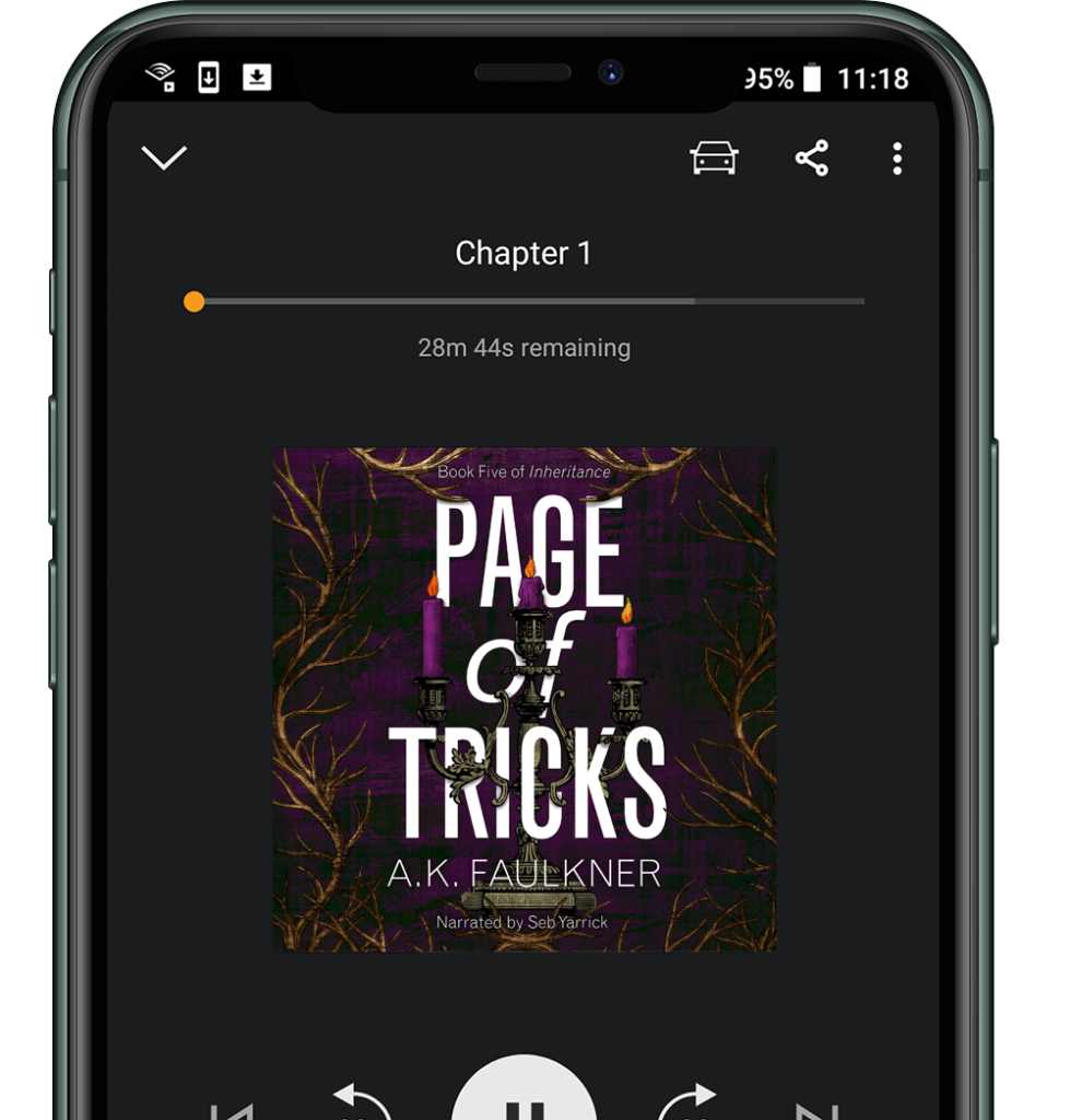 Page of Tricks audiobook
